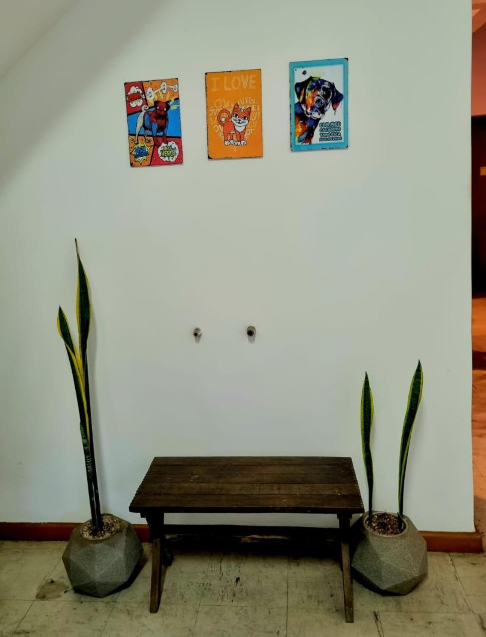 Cool Living Hostel - Praca Da Liberdade Belo Horizonte Luaran gambar